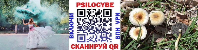 Купить  Пятигорск  Псилоцибиновые грибы MAGIC MUSHROOMS 